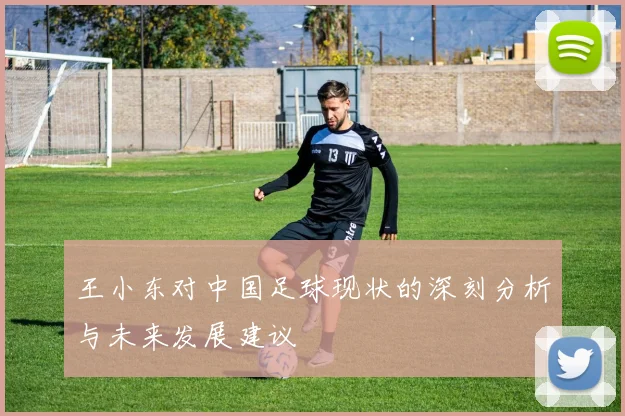 王小东对中国足球现状的深刻分析与未来发展建议